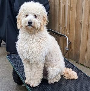 Meet your Posher, Stacy